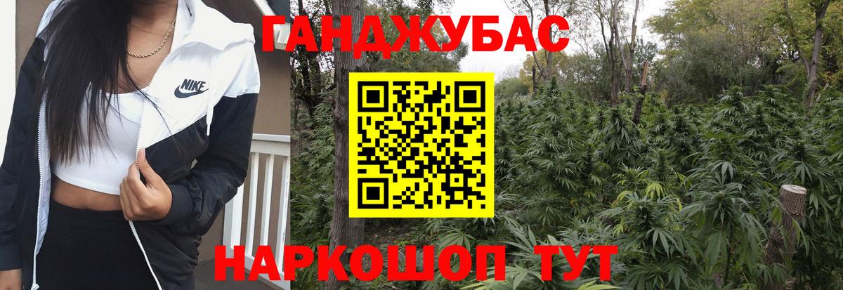 Канабис планчик Кингисепп